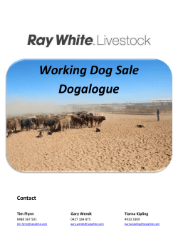 Working Dog Sale Dogalogue Contact