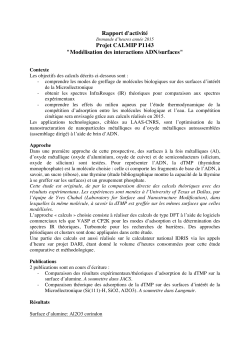 Rapport d`activitÃ© Projet CALMIP P1143 "ModÃ©lisation des