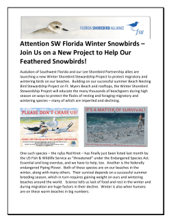 Attention SW Florida Winter Snowbirds Join Us on a New Project to