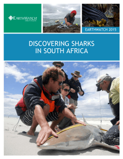 DISCOVERING SHARKS IN SOUTH AFRICA
