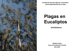 Plagas en Eucaliptos- Desfoliadores - Aula Virtual