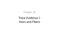 Trace Evidence l: Hairs and Fibers