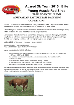 Auzred Xb Team 2015 Elite Young Aussie Red Sires