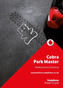 Cobra Park Master