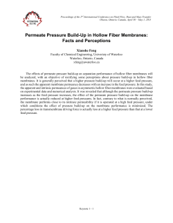 Permeate Pressure Build-Up in Hollow Fiber Membranes: Facts and