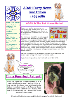 June Newsletter - Avoca Drive Animal Hospital, Australia