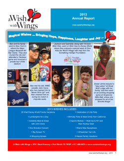 2013 Annual Report - A Wish With Wings