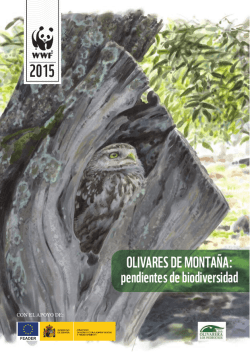 OLIVARES DE MONTAÃA: pendientes de biodiversidad