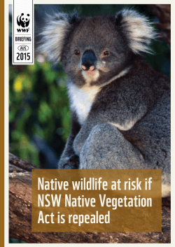 Native wildlife at risk if NSW Vegetation Act is repealed | WWF