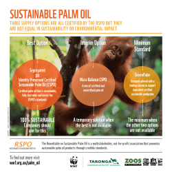 SuSTainable palm oil