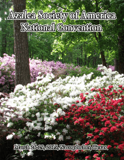 Convention 2015 - Azalea Society of America