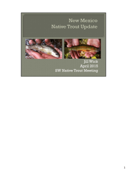 New Mexico Native Trout Update