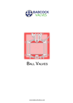 BALL VALVES - Babcock Valves