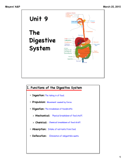 Unit 9 The Digestive System - Badger Anatomy & Physiology