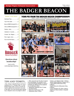 THE BADGER BEACON