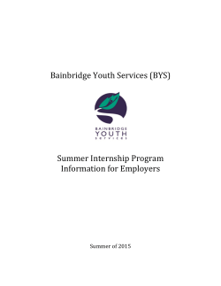 2015 BYS Summer Intern Program Info for Employers
