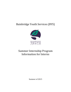 2015 BYS Summer Intern Program Info for Interns