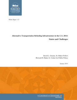 White Paper.DLG.alternative transp. 1