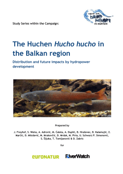 The Huchen Hucho hucho in the Balkan region