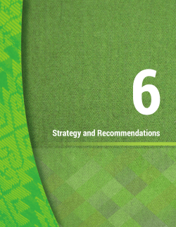 Strategy and Recommendations - Bangsamoro Development Agency