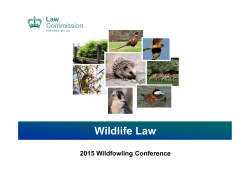 Review on Wildlife Law