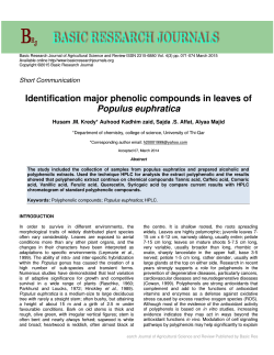 Identification major phenolic compounds in leaves of Populus