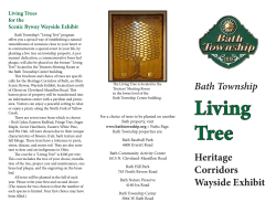 Living Tree Brochure