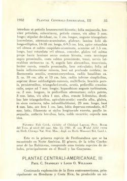 plantae centrali-americanae. 111