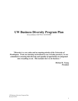 UW Business Diversity Program Plan