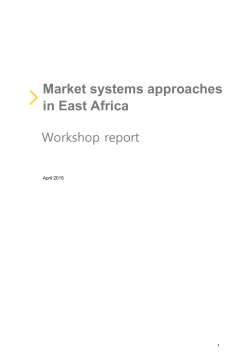 Market systems approaches in East Africa