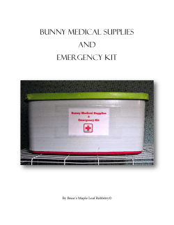 BUNNY MEDICAL SUPPLIES AND EMERGENCY KIT