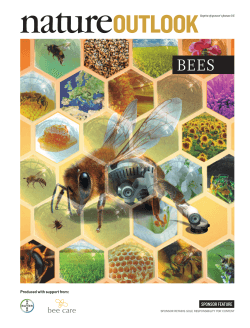 OUTLOOK - Bayer Bee Care