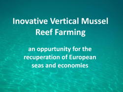 Inovative Vertical Mussel Reef Farming