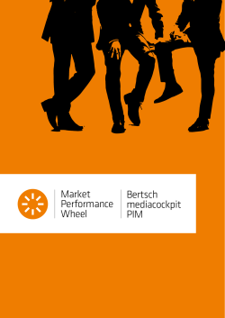 Bertsch mediacockpit PIM Market Performance Wheel