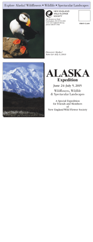 Brochure - Betchart Expeditions