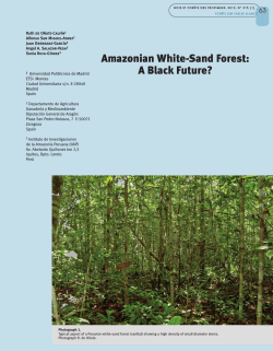 Amazonian White-Sand Forest - Bois et forÃªts des tropiques