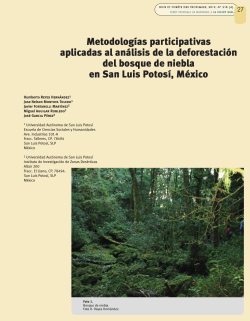 MetodologÃ­as participativas aplicadas al anÃ¡lisis de la deforestaciÃ³n
