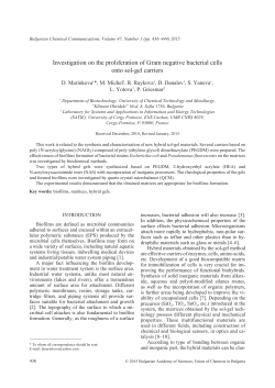 Investigation on the proliferation of Gram negative bacterial cells