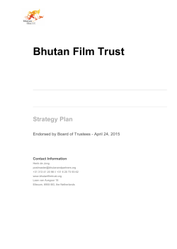 Bhutan Film Trust strategy paper