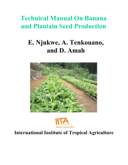 Technical Manual On Banana and Plantain Seed Production