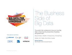 The Business SIde of Big Data - Big Data for Productivity Congress