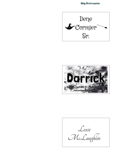 Template: Avery 5361/5362