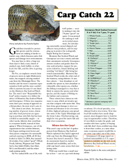 Carp Catch 22 - Big River Magazine