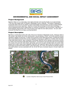 Environmental Summary Report