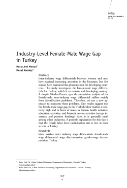 Industry-Level Female-Male Wage Gap in Turkey