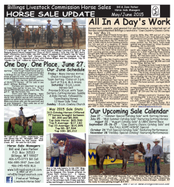 horse sale update - Billings Livestock Commission