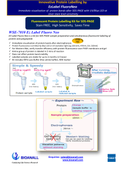 WSE-7010 Ez Label Fluoro Neo Innovative Protein Labelling by