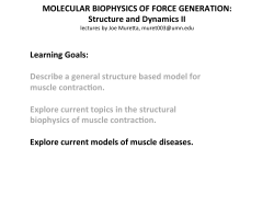 MOLECULAR BIOPHYSICS OF FORCE GENERATION: Structure