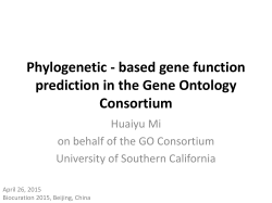 Phylogenetic- based gene function prediction in the Gene Ontology