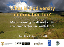 Ms Caroline Petersen, Head of Ecosystems & Biodiversity
